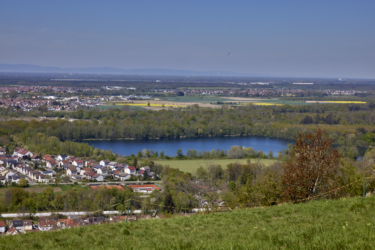 BILDER_Baggersee_Michaelsberg