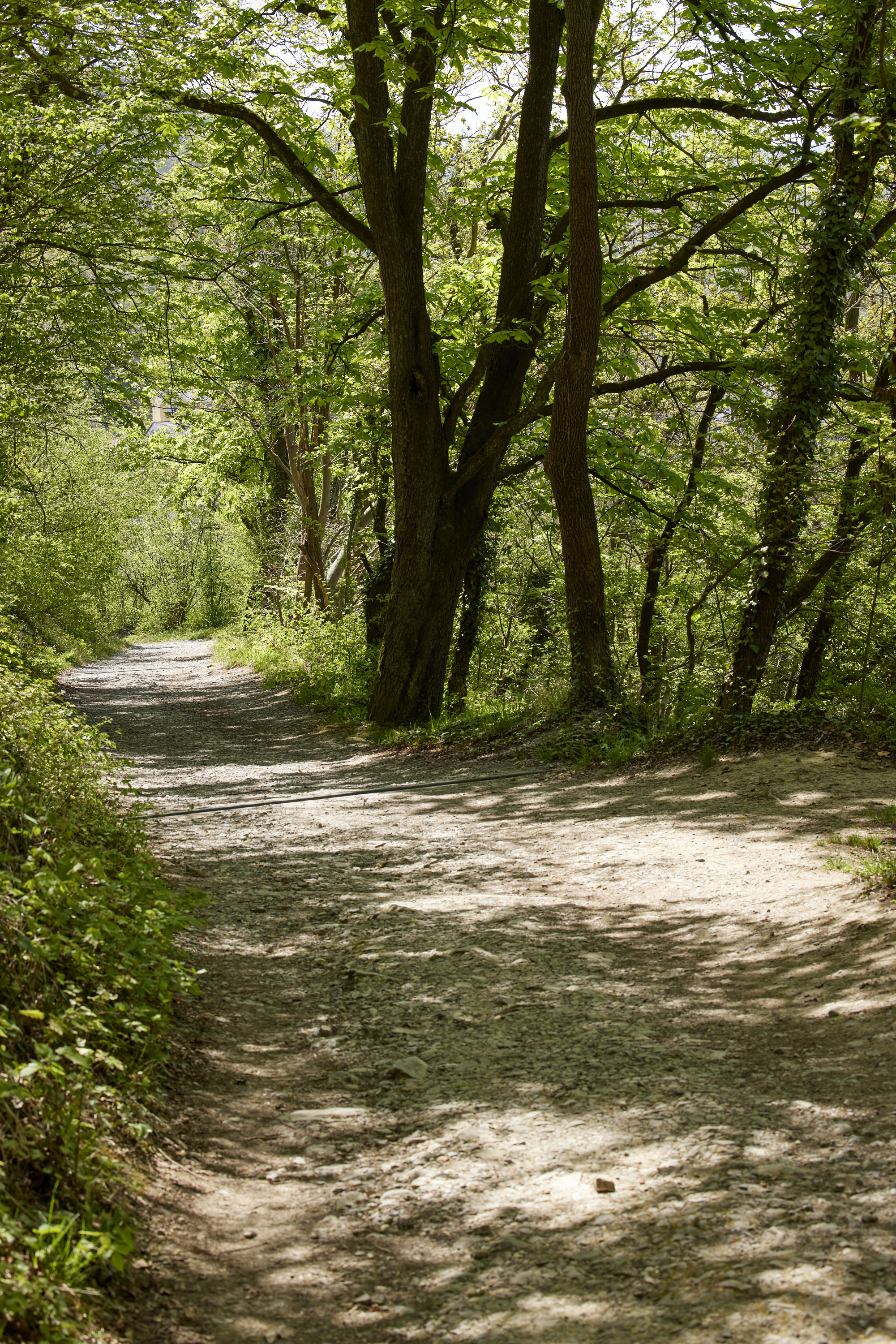 BILDER_Ort_Michaelsberg