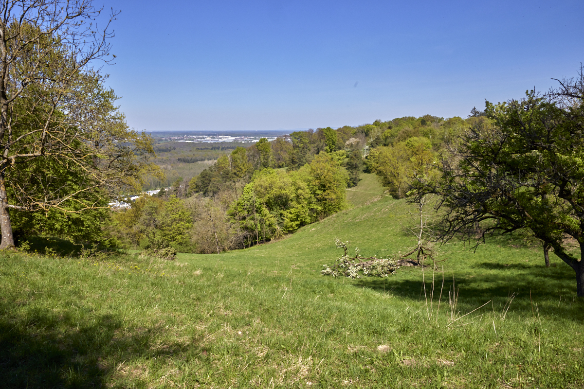 BILDER_Michaelsbergkuppel_rechts