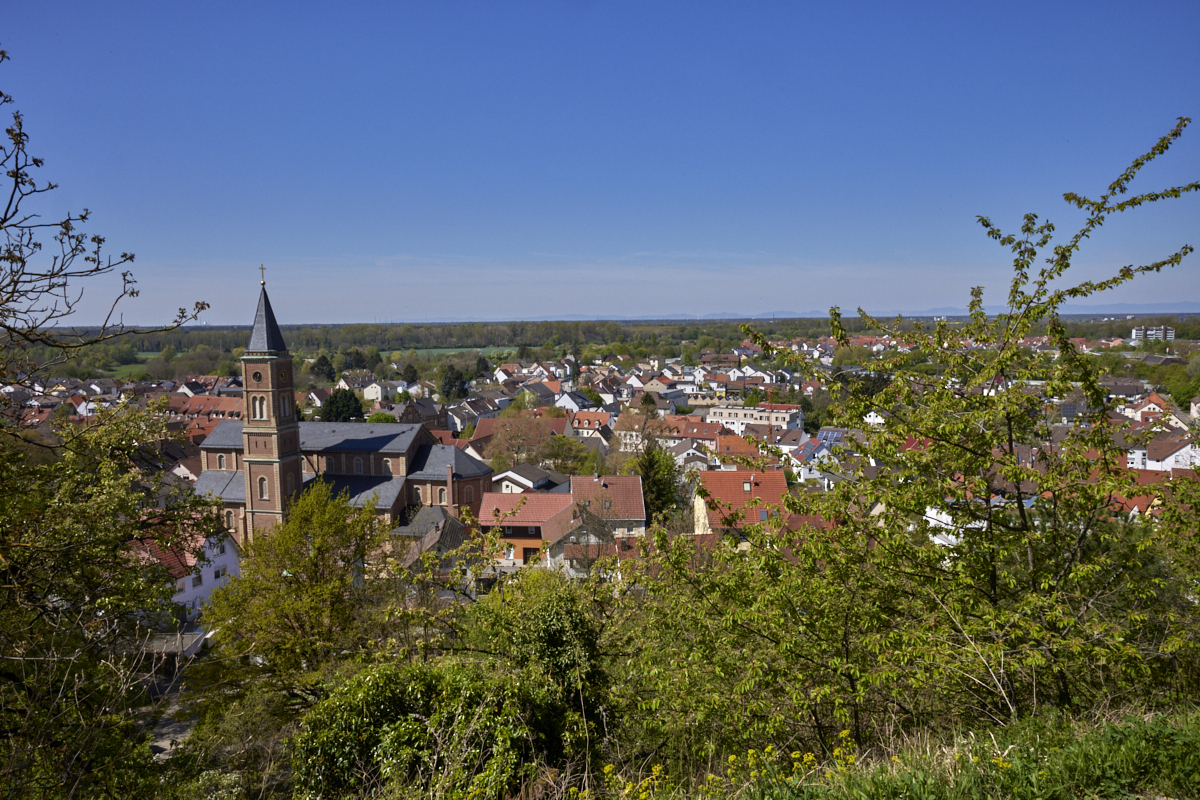 BILDER_Ort_Michaelsberg