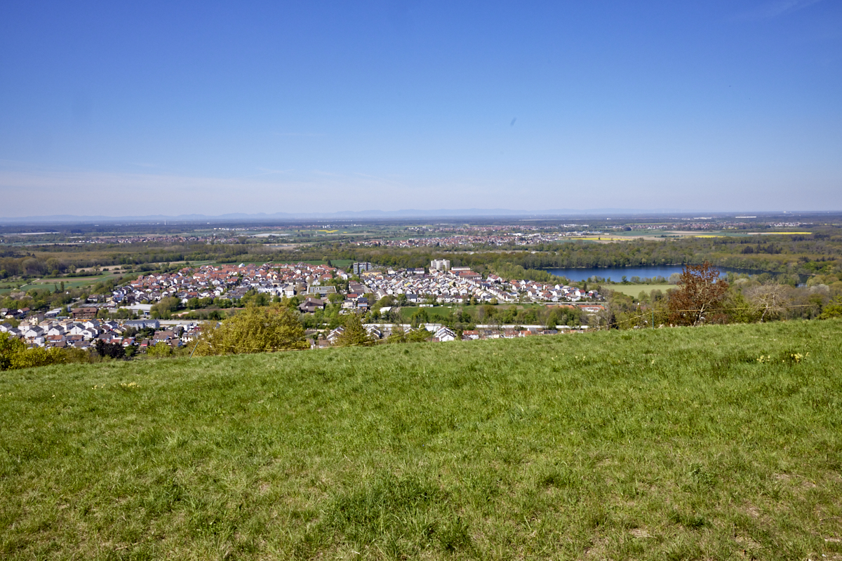 BILDER_Baggersee_Michaelsberg