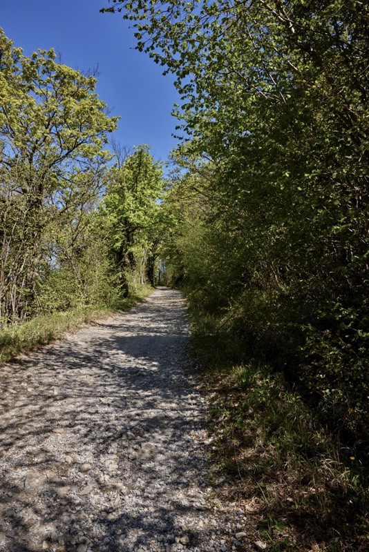 BILDER_Weg2_Michaelsberg